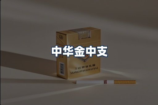 中华金中支